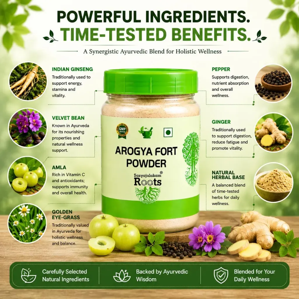 Arogya Fort Immunity Powder 100g